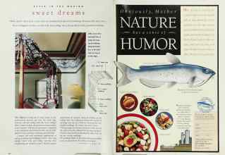 Better Homes & Gardens September 1995 Magazine Article: Page 24