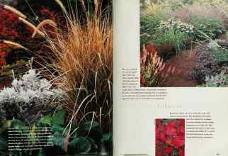 Better Homes & Gardens September 1995 Magazine Article: Page 100