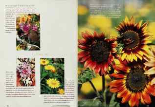 Better Homes & Gardens September 1995 Magazine Article: Page 102