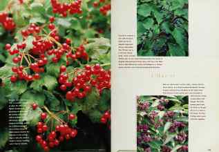 Better Homes & Gardens September 1995 Magazine Article: Page 104