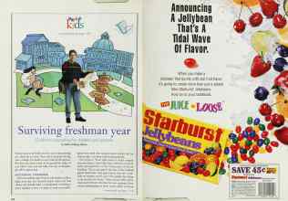 Better Homes & Gardens September 1995 Magazine Article: Page 252