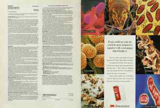 Better Homes & Gardens October 1995 Magazine Article: Page 76