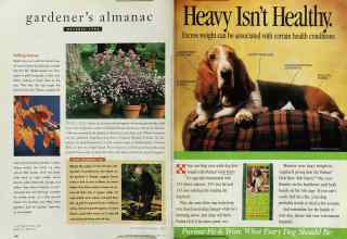 Better Homes & Gardens October 1995 Magazine Article: Page 100
