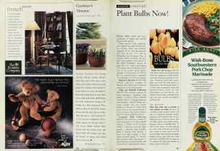 Better Homes & Gardens October 1995 Magazine Article: Page 102