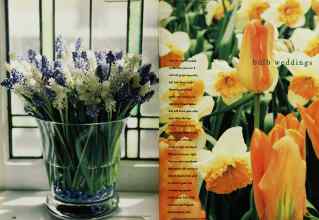 Better Homes & Gardens October 1995 Magazine Article: Page 106