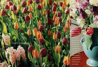 Better Homes & Gardens October 1995 Magazine Article: Page 108