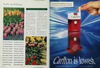 Better Homes & Gardens October 1995 Magazine Article: Page 110