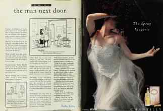 Better Homes & Gardens October 1995 Magazine Article: Page 214