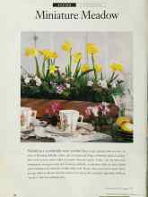 Better Homes & Gardens November 1995 Magazine Article: Miniature Meadow