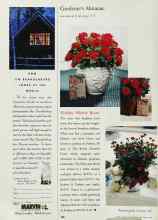 Better Homes & Gardens November 1995 Magazine Article: Holiday Miracle Roses
