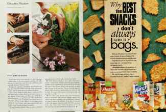 Better Homes & Gardens November 1995 Magazine Article: Page 34