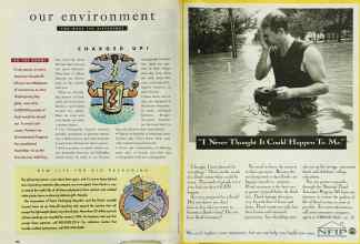 Better Homes & Gardens November 1995 Magazine Article: Page 260