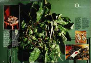 Better Homes & Gardens December 1995 Magazine Article: Page 80
