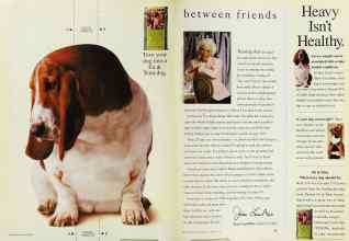 Better Homes & Gardens January 1996 Magazine Article: Page 12