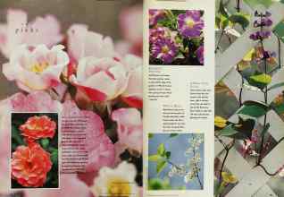 Better Homes & Gardens January 1996 Magazine Article: Page 68