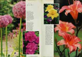 Better Homes & Gardens January 1996 Magazine Article: Page 70