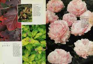 Better Homes & Gardens January 1996 Magazine Article: Page 72
