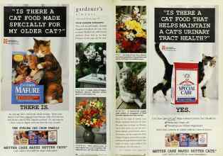 Better Homes & Gardens February 1996 Magazine Article: FOUR-SEASON BOUQUETS