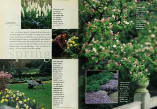 Better Homes & Gardens February 1996 Magazine Article: Page 94