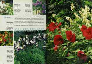 Better Homes & Gardens February 1996 Magazine Article: Page 96