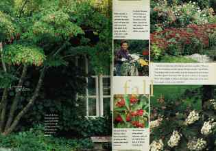 Better Homes & Gardens February 1996 Magazine Article: Page 98