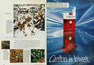 Better Homes & Gardens February 1996 Magazine Article: Page 100