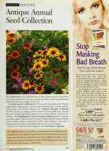 Better Homes & Gardens March 1996 Magazine Article: Antique Annual Seed Collection