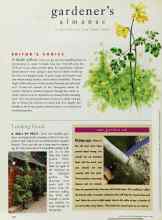 Better Homes & Gardens March 1996 Magazine Article: EDITOR'S CHOICE