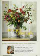Better Homes & Gardens March 1996 Magazine Article: Antique annuals