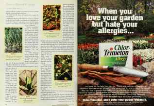 Better Homes & Gardens March 1996 Magazine Article: Page 68