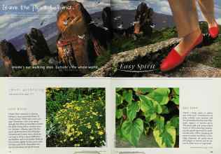 Better Homes & Gardens March 1996 Magazine Article: Page 118