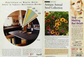 Better Homes & Gardens March 1996 Magazine Article: Page 124