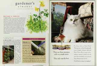 Better Homes & Gardens March 1996 Magazine Article: Page 126