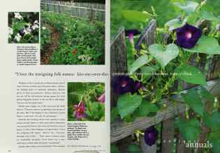 Better Homes & Gardens March 1996 Magazine Article: Page 130