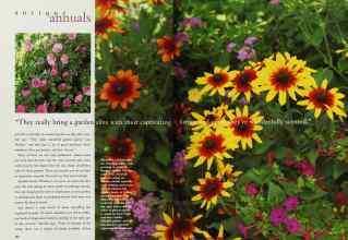 Better Homes & Gardens March 1996 Magazine Article: Page 132