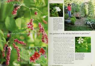 Better Homes & Gardens March 1996 Magazine Article: Page 134