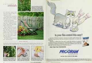 Better Homes & Gardens March 1996 Magazine Article: Page 136