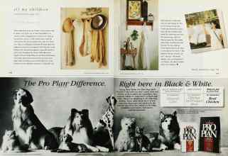 Better Homes & Gardens March 1996 Magazine Article: Page 170