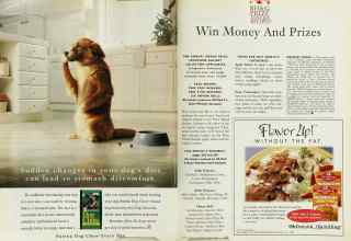 Better Homes & Gardens March 1996 Magazine Article: Page 218