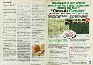 Better Homes & Gardens March 1996 Magazine Article: Page 246