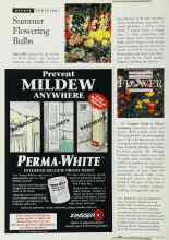 Better Homes & Gardens April 1996 Magazine Article: Summer Flowering Bulbs