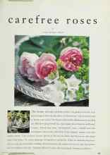 Better Homes & Gardens April 1996 Magazine Article: Carefree roses