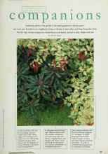 Better Homes & Gardens April 1996 Magazine Article: Garden companions