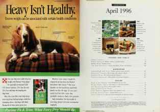 Better Homes & Gardens April 1996 Magazine Article: Page 6
