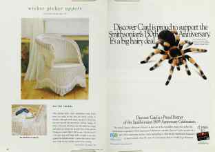 Better Homes & Gardens April 1996 Magazine Article: Page 42
