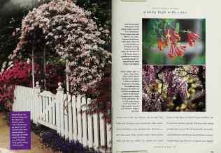 Better Homes & Gardens April 1996 Magazine Article: Page 134