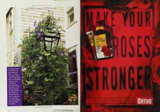 Better Homes & Gardens April 1996 Magazine Article: Page 136