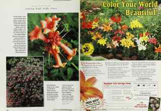 Better Homes & Gardens April 1996 Magazine Article: Page 138