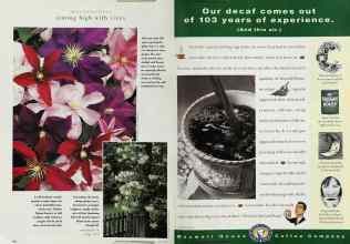 Better Homes & Gardens April 1996 Magazine Article: Page 140
