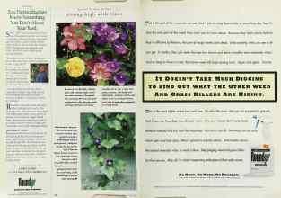 Better Homes & Gardens April 1996 Magazine Article: Page 150